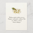 Search for calla cards invites Lilly