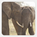 Search for bush gear stickers Nature