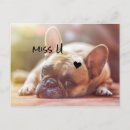 Search for miss u postcards Dog