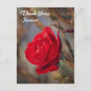 Search for red rose note postcards Thank