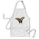 Search for swallowtail aprons Insect