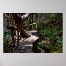 Search for wet art Forest