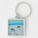 Search for fish swimming key rings Outdoors