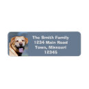 Search for monarch return address labels Nature