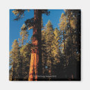 Search for sequoia national park magnets Usa