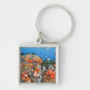 Search for fish swimming key rings Underwater