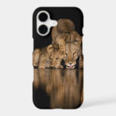 Search for panthera leo iphone cases Africa