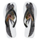 Search for alligator jandals Reptile