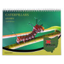 Search for moth calendars Macro