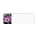 Search for dahlia return address labels Pink