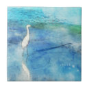 Search for aqua blue tiles Beach