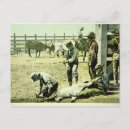 Search for fedora postcards Century