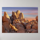 Search for arid climate posters Photography