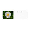 Search for rose petals return address labels Garden