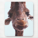 Search for giraffe face electronics Wildlife