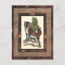 Search for wild fox postcards Nature