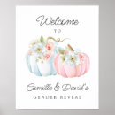 Search for pumpkin gender reveal Pink and blue