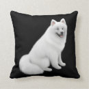 Search for fluffy dog cushions Samoyed