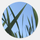 Search for blade stickers Garden