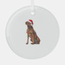 Search for rhodesian ridgeback christmas tree decorations Animal