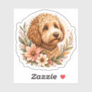 Search for goldendoodle stickers Decal