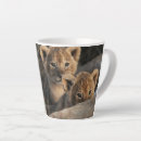 Search for cub mugs Safari