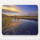 Search for river near electronics Reflection