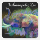 Search for indy stickers Animal