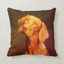 Search for vizsla cushions Cute