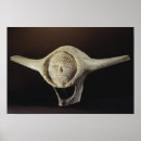 Search for inuit art Bone