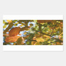 Search for autumn stickers Nature