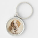 Search for beagle photos key rings Dog