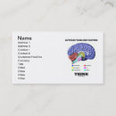 Search for think business cards Brain