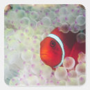 Search for reef diving stickers Fish