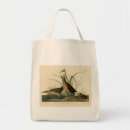 Search for rail bags Bird