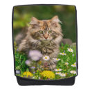 Search for maine coon cat bags Cute