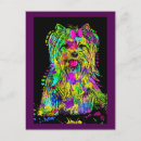 Search for yorky postcards Pets