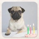 Search for pug coasters Pet