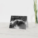 Search for norwegian cards Norwegian fjord horse