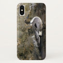 Search for birdwatcher iphone cases Birds