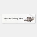 Search for crocodile bumper stickers Wildlife