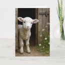 Search for lamb birthday cards Farm