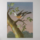 Search for doves small art Botanical