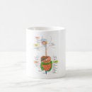 Search for digestion mugs Human