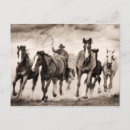 Search for desert animals postcards Photography