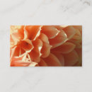 Search for dahlia flower business cards Dahlias