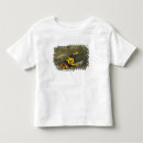 Search for poison dart frog tshirts Sitting
