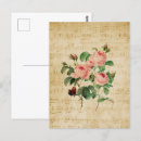 Search for vintage rose postcards French