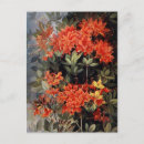 Search for azalea postcards Flowers