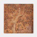 Search for wild squirrel magnets Animal
